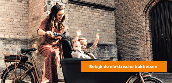 Een dame met kinderen in de bakfiets
